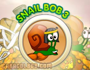 Caracol Bob 3