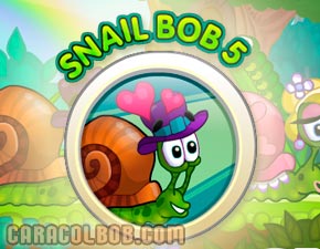 Caracol Bob 5