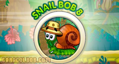 Caracol Bob 8