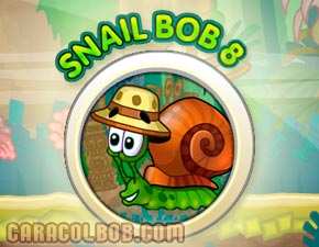 Caracol Bob 8