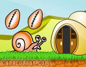 Caracol Bob 9